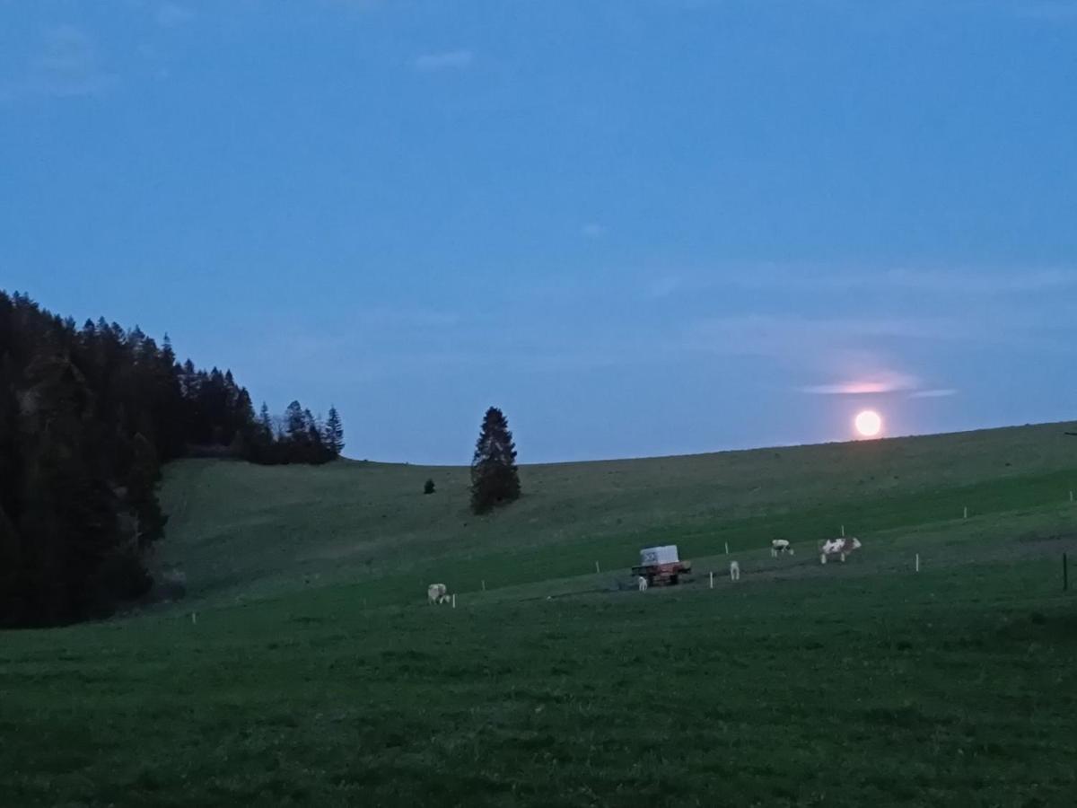 U Hornika * Dursztyn